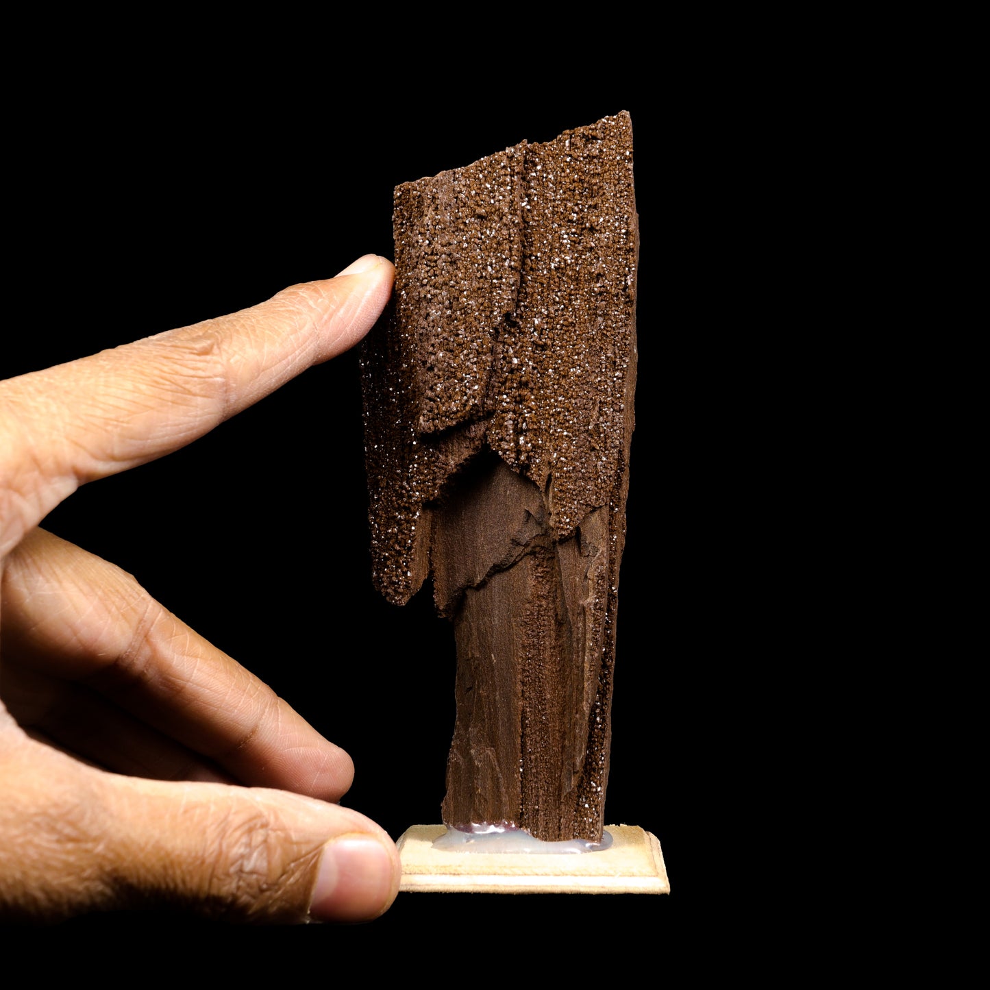 Rare Premineralised Petrified Wood Natural Mineral Specimen G #0292