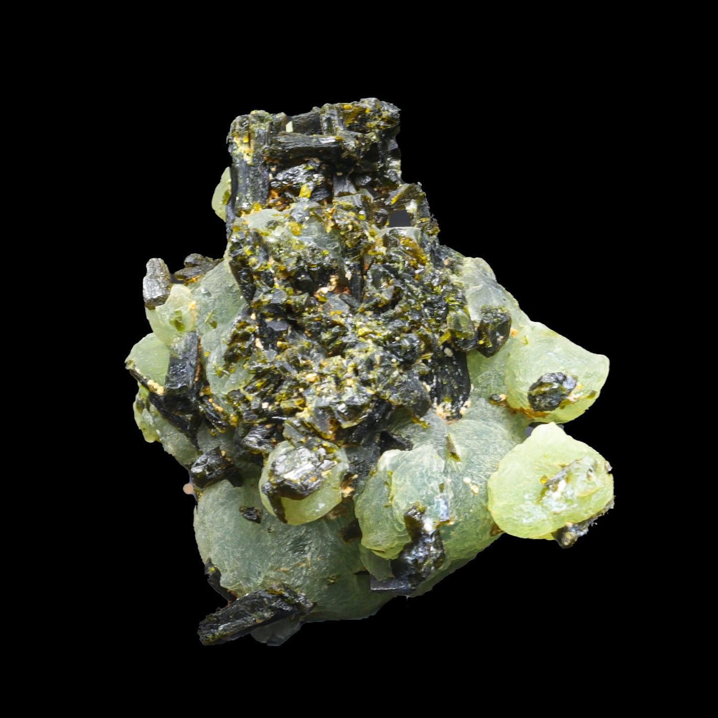 Botryoidal Prehnite with Epidote Natural Specimen G #0296
