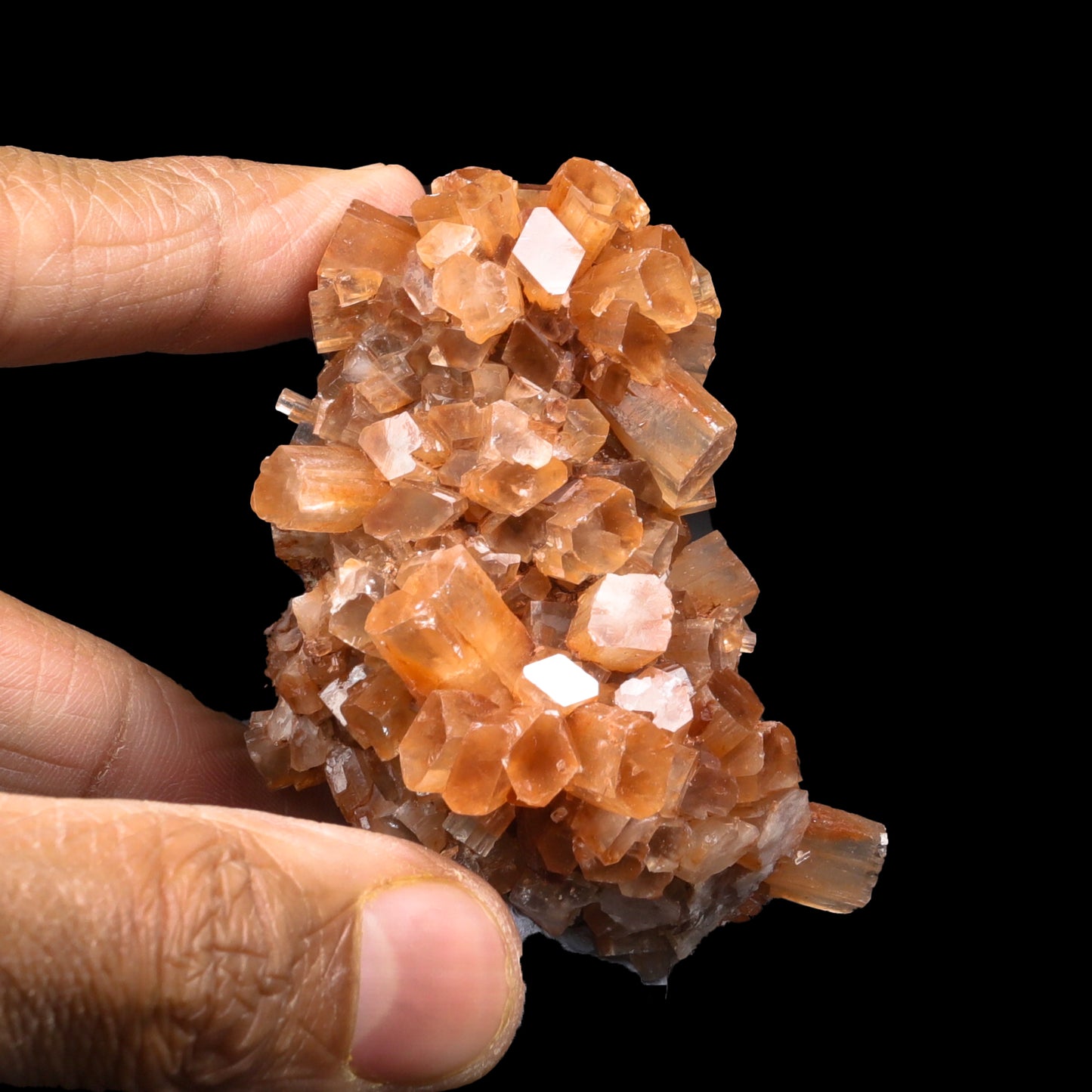 Argonite Cluster Natural Mineral Specimen G #0310