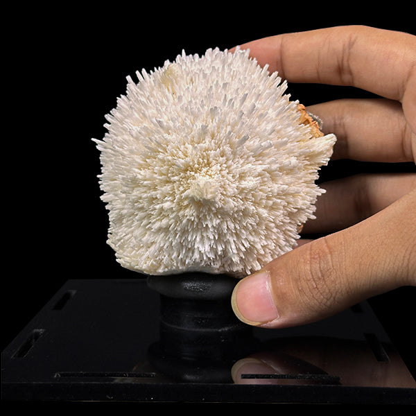 Mordenite With Heulandite Natural Mineral Specimen. G #0549
