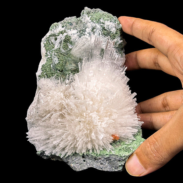 Scolecite With Apophyllite Natural Mineral Specimen G #0570