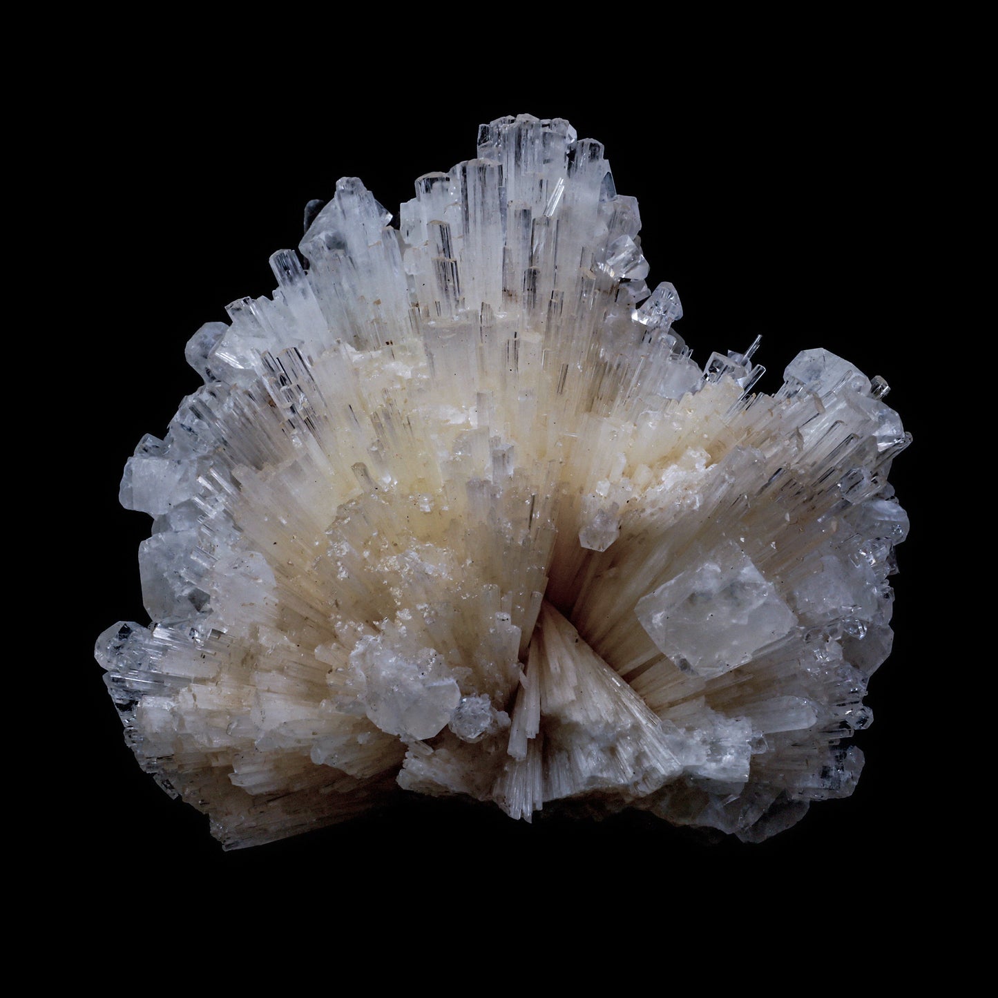 Scolecite Spray with  Apophyllite cube Natural Mineral Specimen  # G 0062