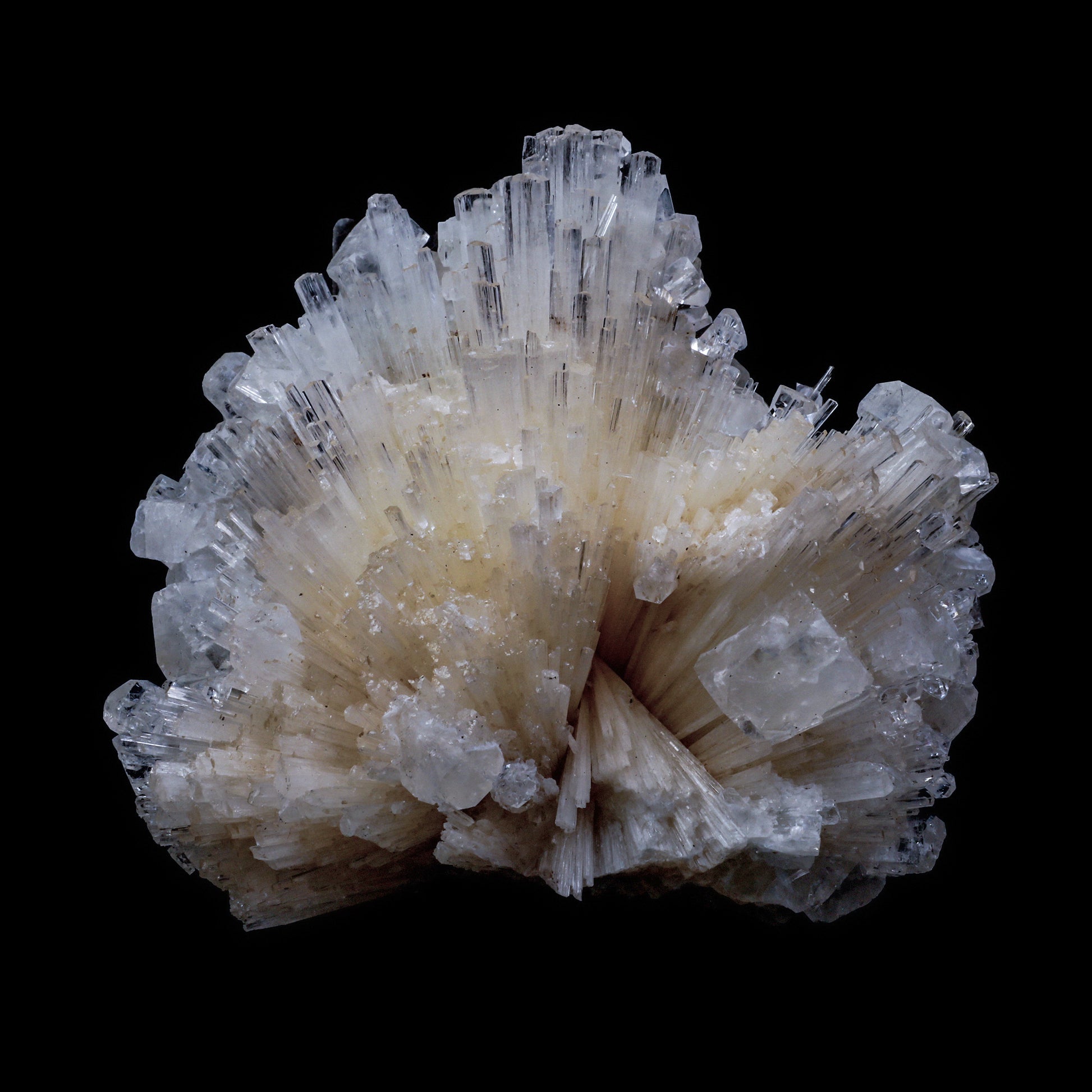 Scolecite Spray with  Apophyllite cube Natural Mineral Specimen  # G 0062