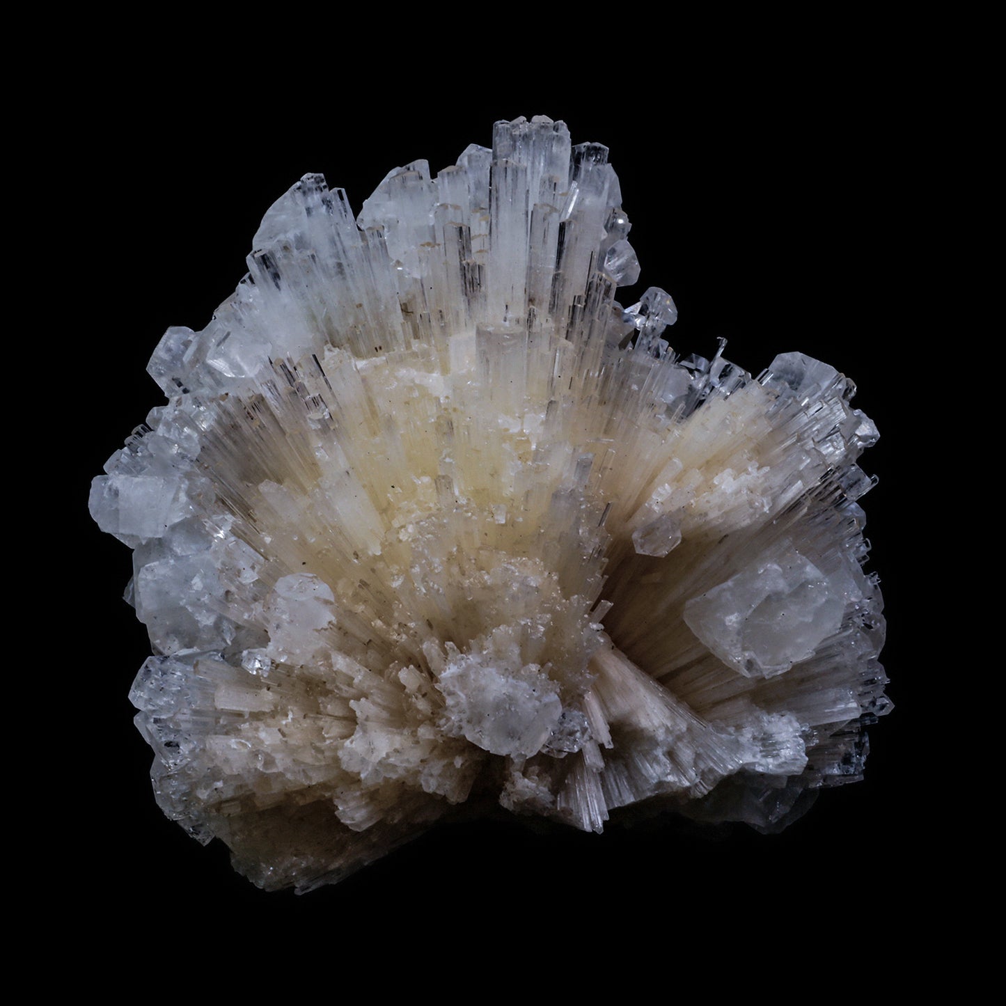 Scolecite Spray with  Apophyllite cube Natural Mineral Specimen  # G 0062