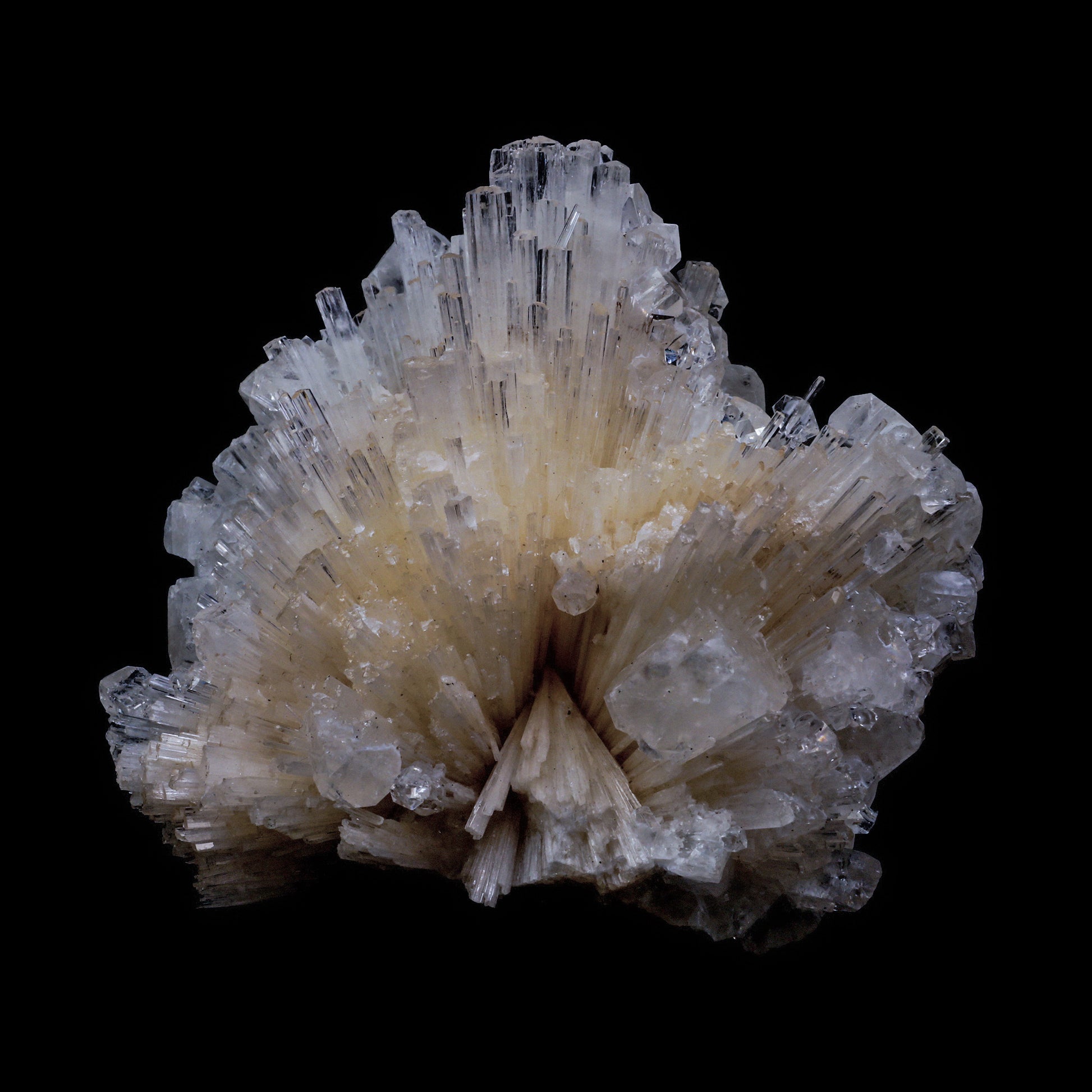 Scolecite Spray with  Apophyllite cube Natural Mineral Specimen  # G 0062