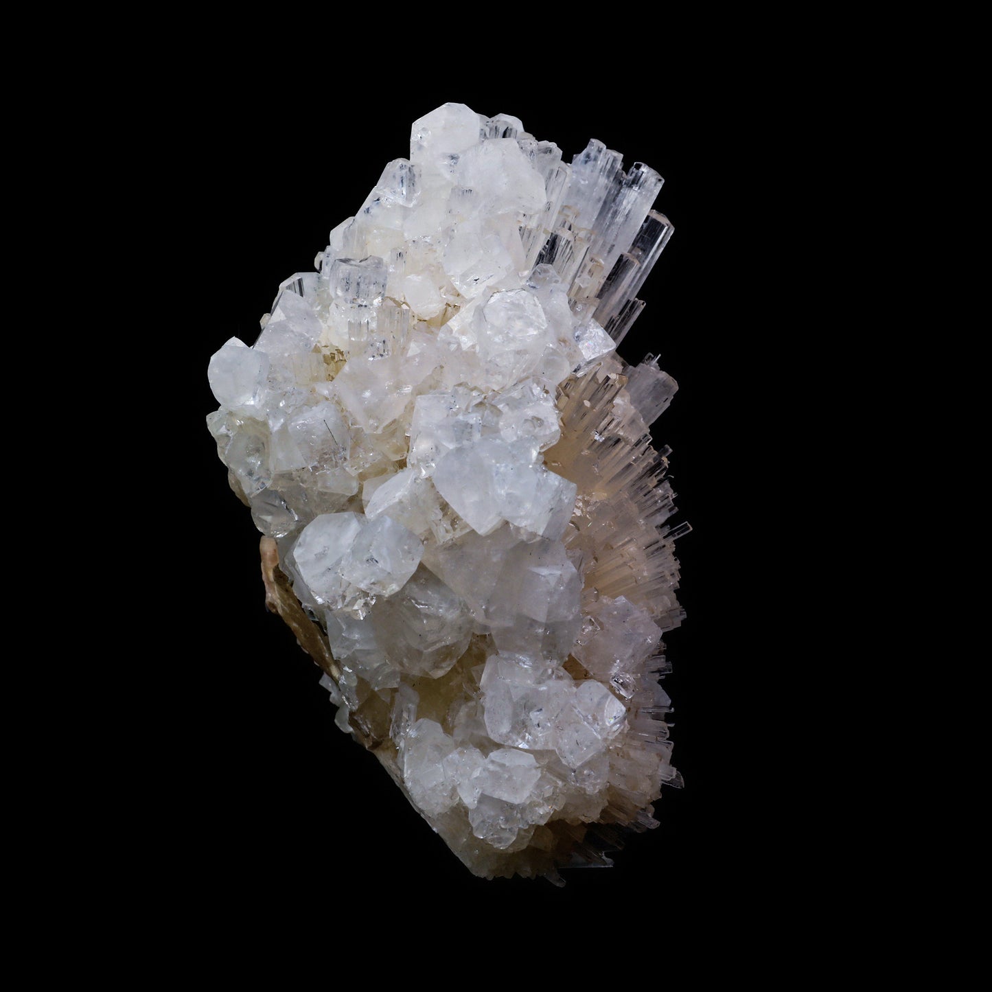 Scolecite Spray with  Apophyllite cube Natural Mineral Specimen  # G 0062