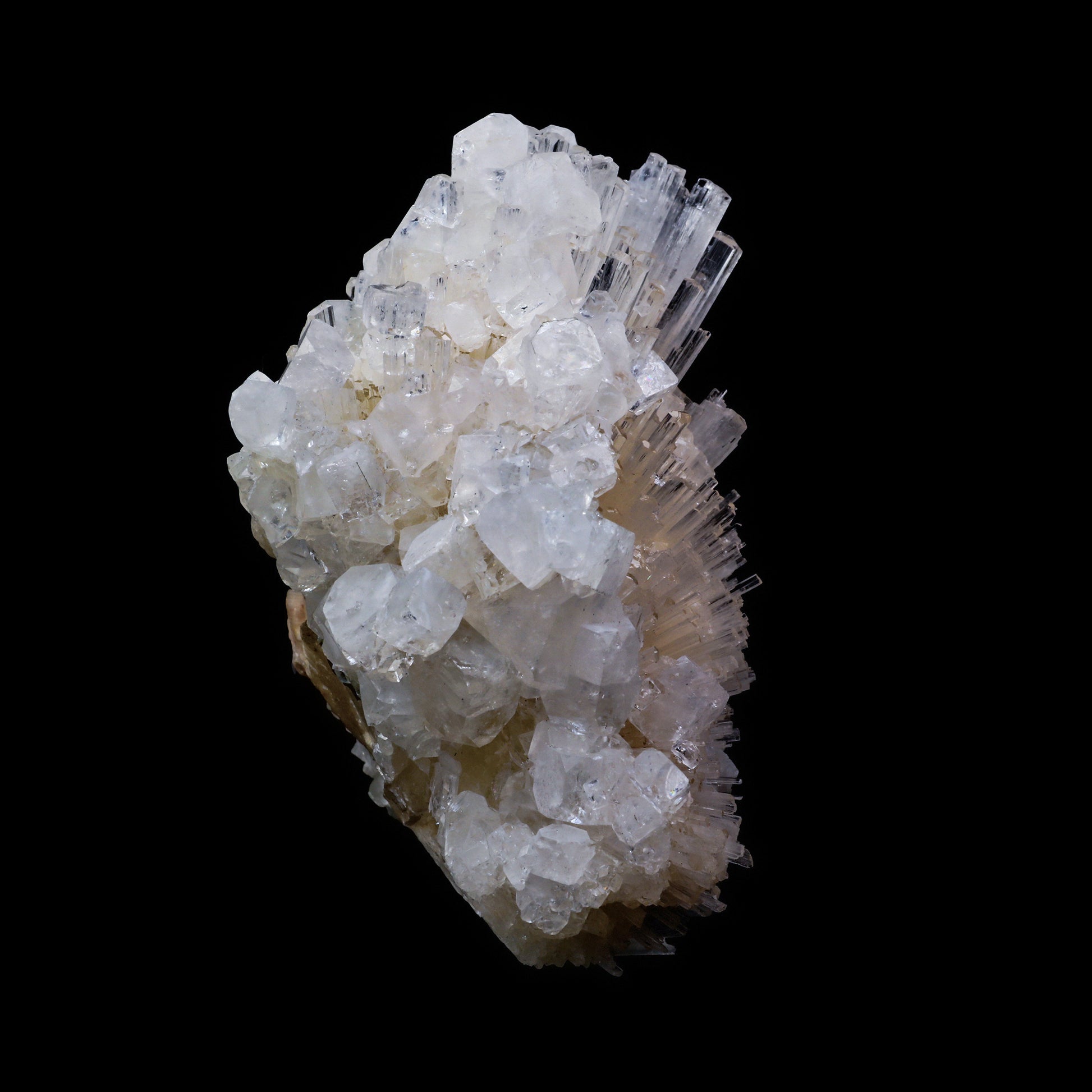 Scolecite Spray with  Apophyllite cube Natural Mineral Specimen  # G 0062