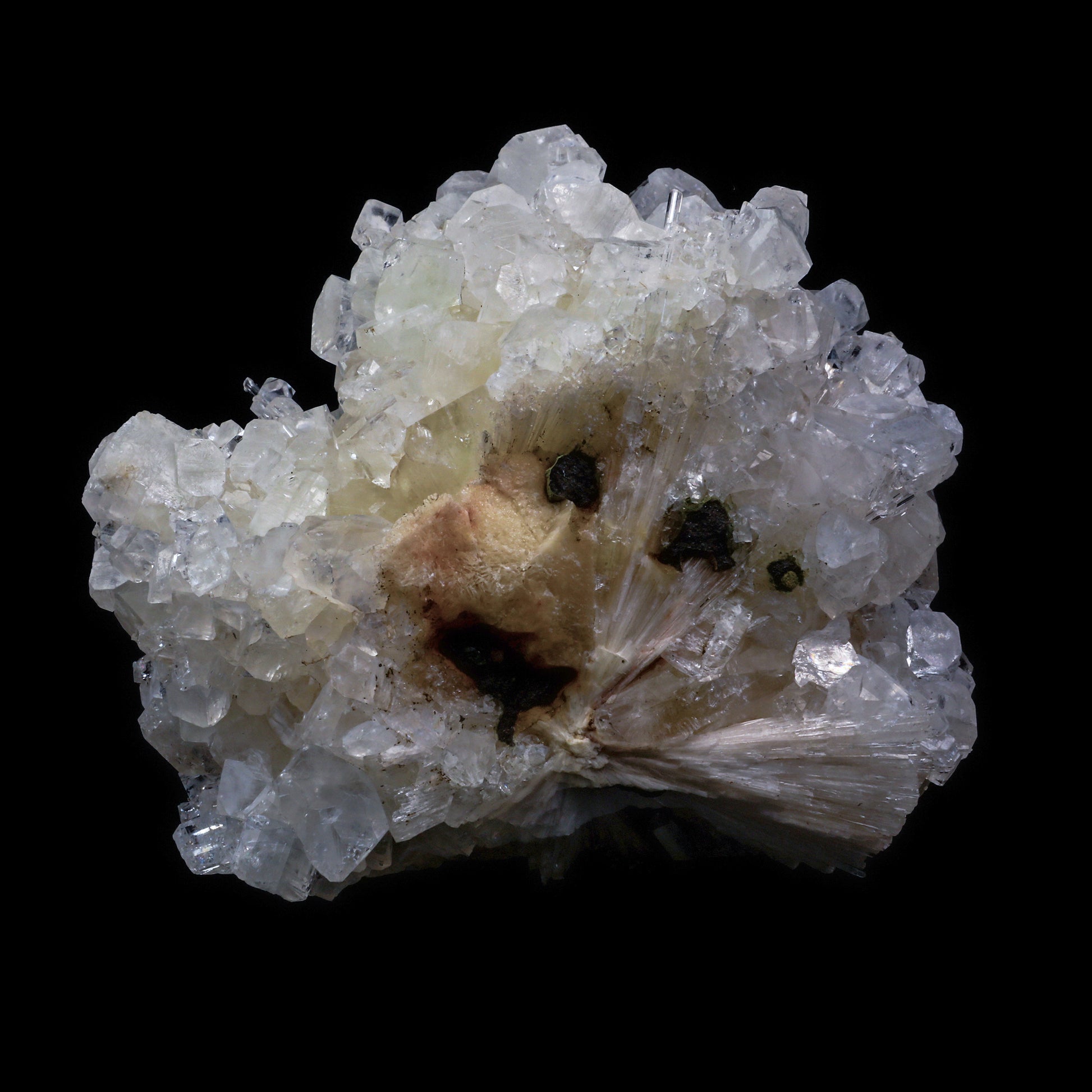 Scolecite Spray with  Apophyllite cube Natural Mineral Specimen  # G 0062