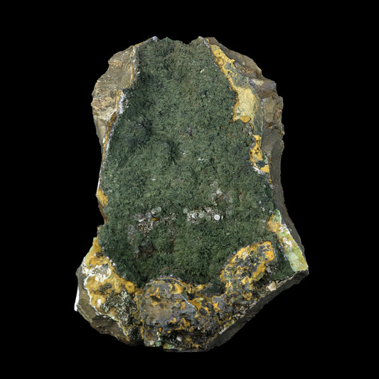 Rare Julgoldite With Botryoidal Chalcedony  Natural Mineral Specimen  # G 0230