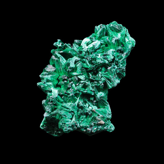 Malachite Cluster Natural Mineral Specimen  # G 0240