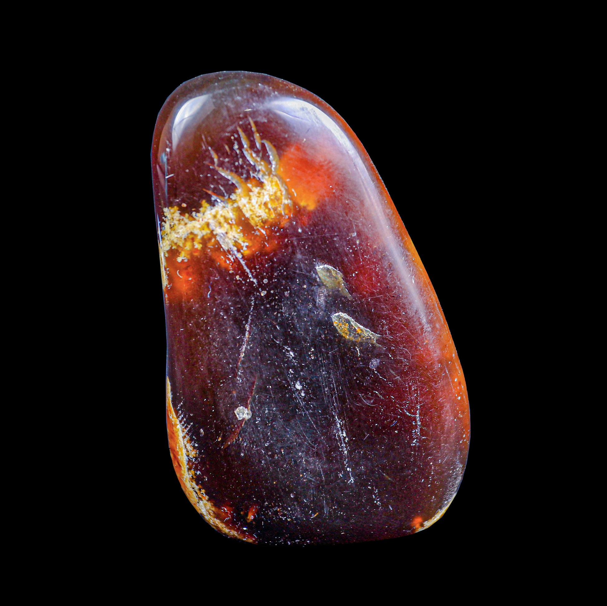 Amber Natural Mineral Specimen  # G 0250