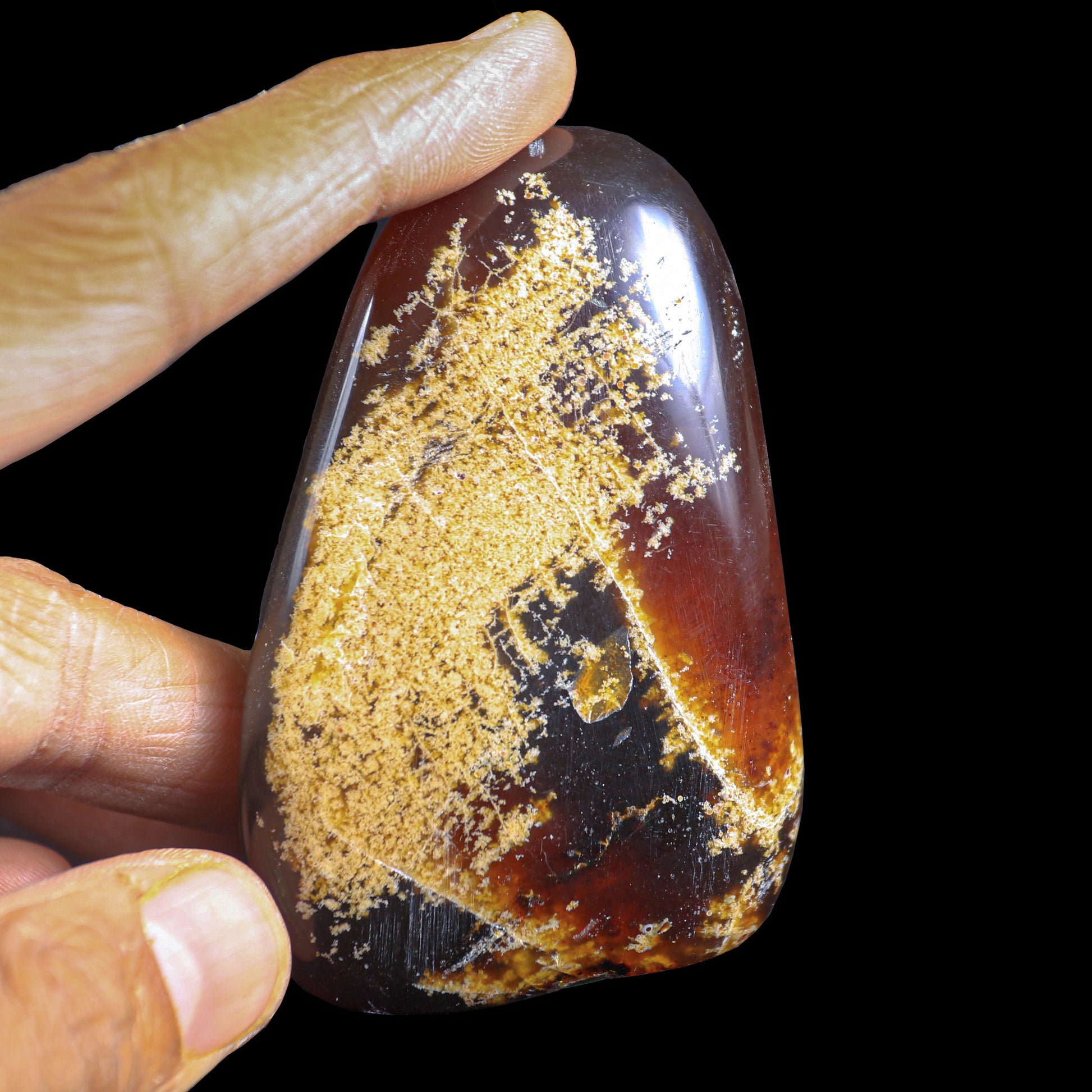 Amber Natural Mineral Specimen  # G 0250