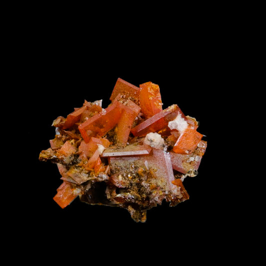 Rare Orange Wulfenite Cluster G #0273