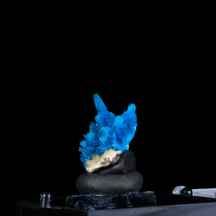 Pentagonite Sprays Natural Mineral Specimen  # G 0274