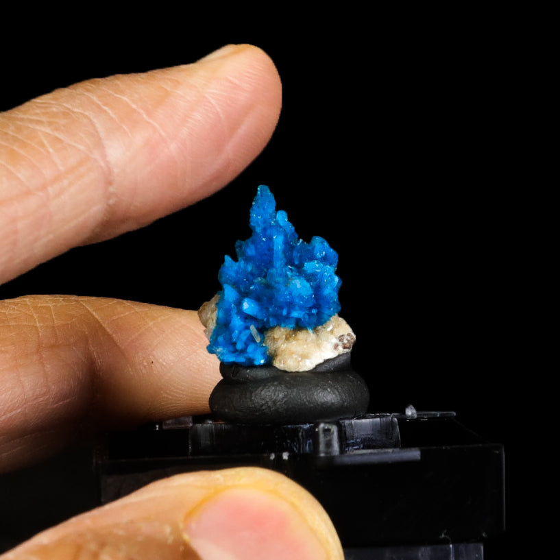 Pentagonite Sprays Natural Mineral Specimen  # G 0274