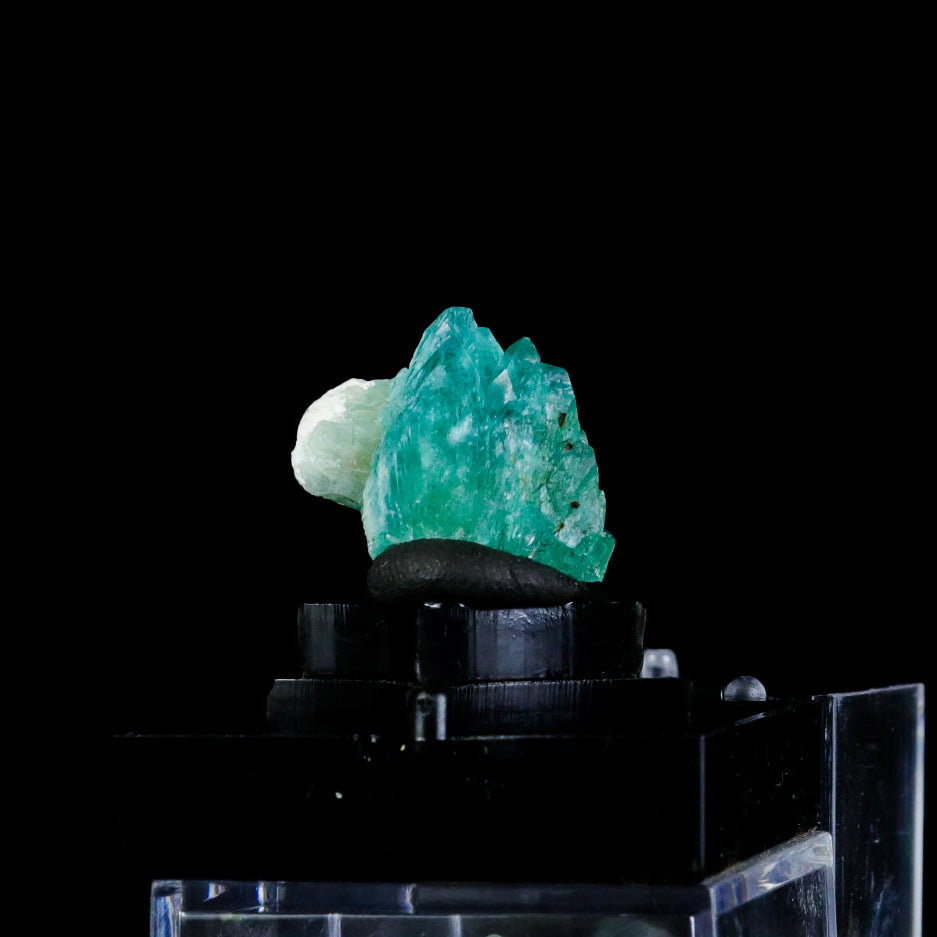 Green Apophyllite Natural Mineral Specimen  # G 0275