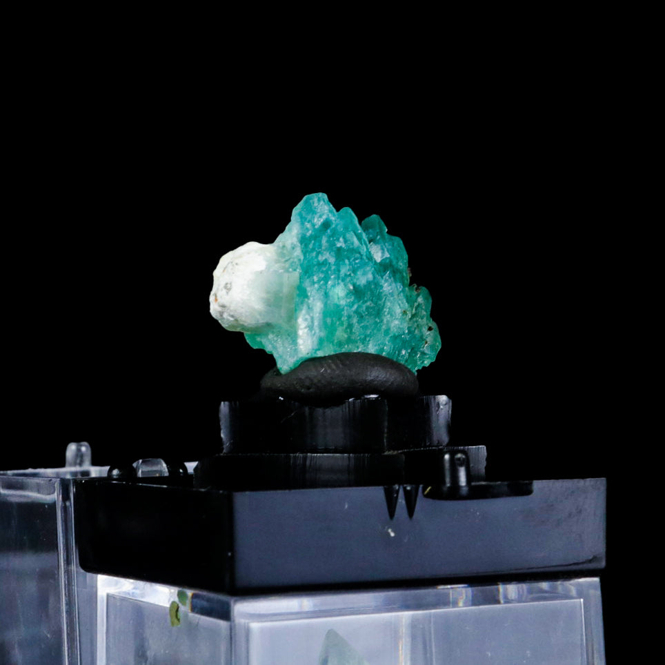 Green Apophyllite Natural Mineral Specimen  # G 0275