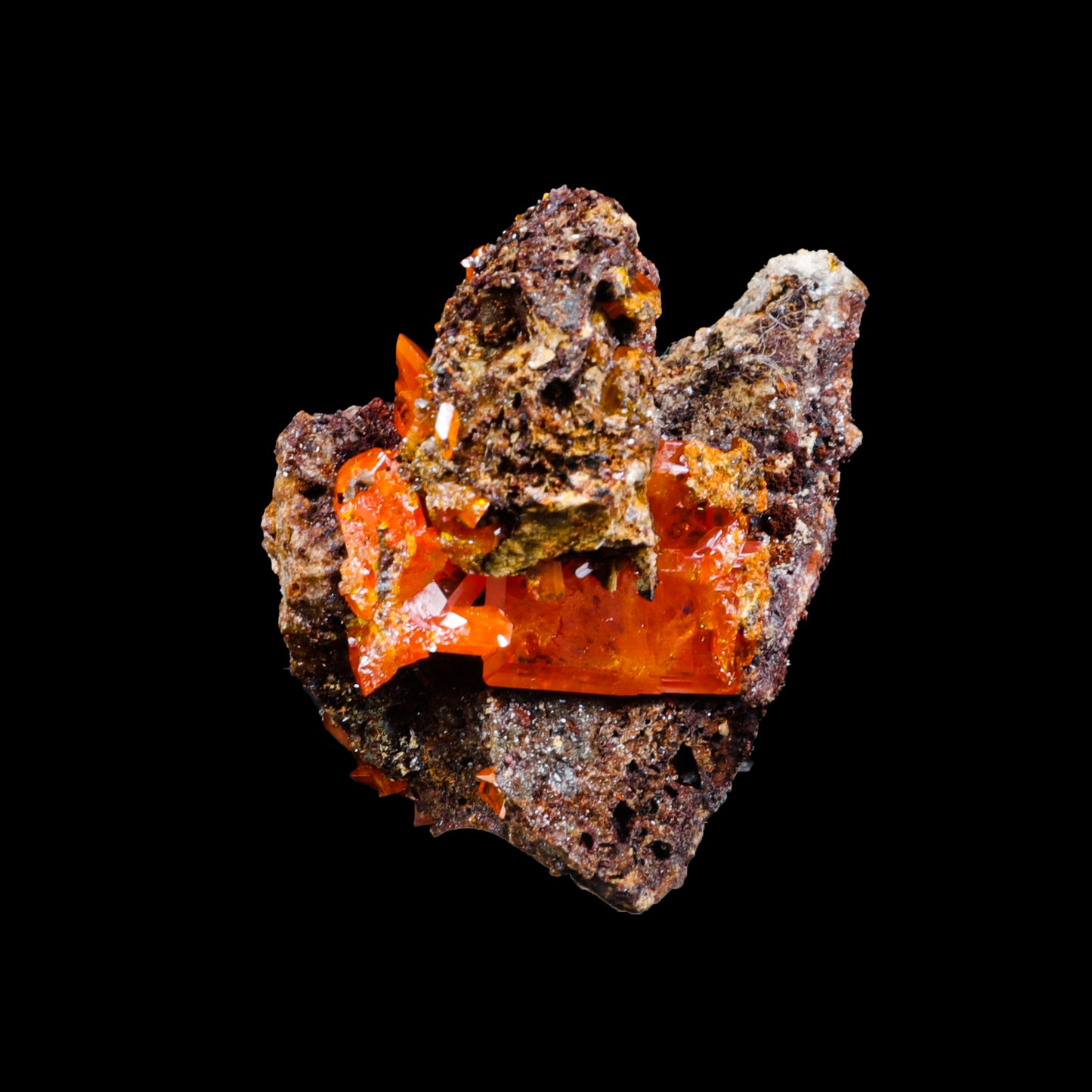 Rare Orange Wulfenite Cluster G #0282