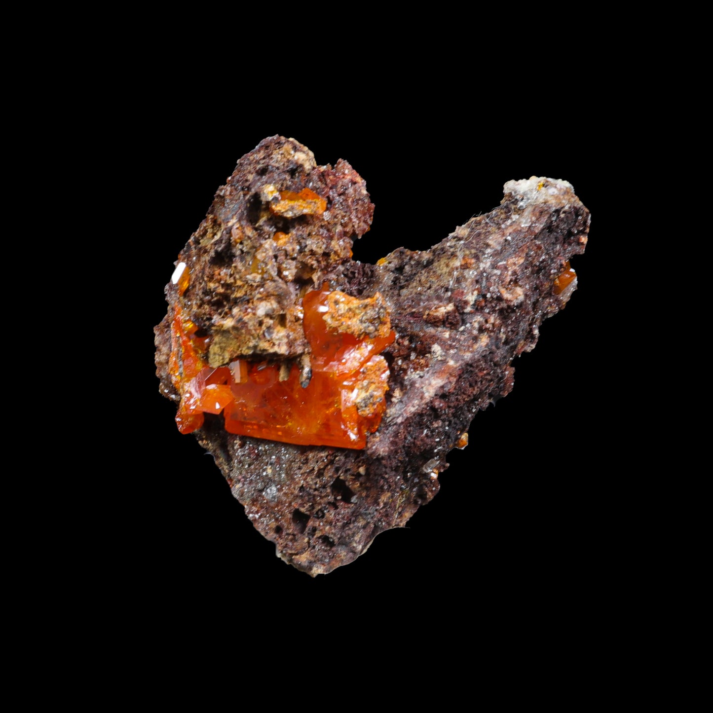 Rare Orange Wulfenite Cluster G #0282