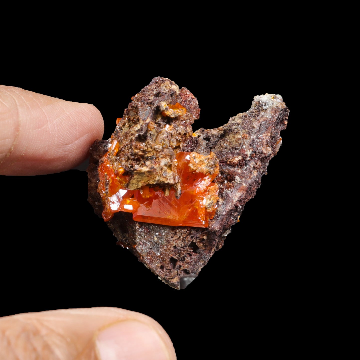 Rare Orange Wulfenite Cluster G #0282