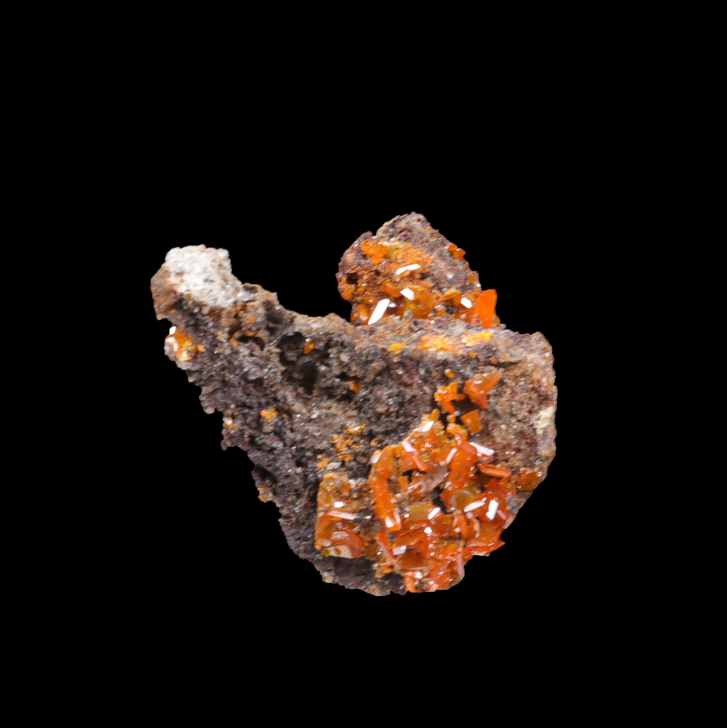 Rare Orange Wulfenite Cluster G #0282