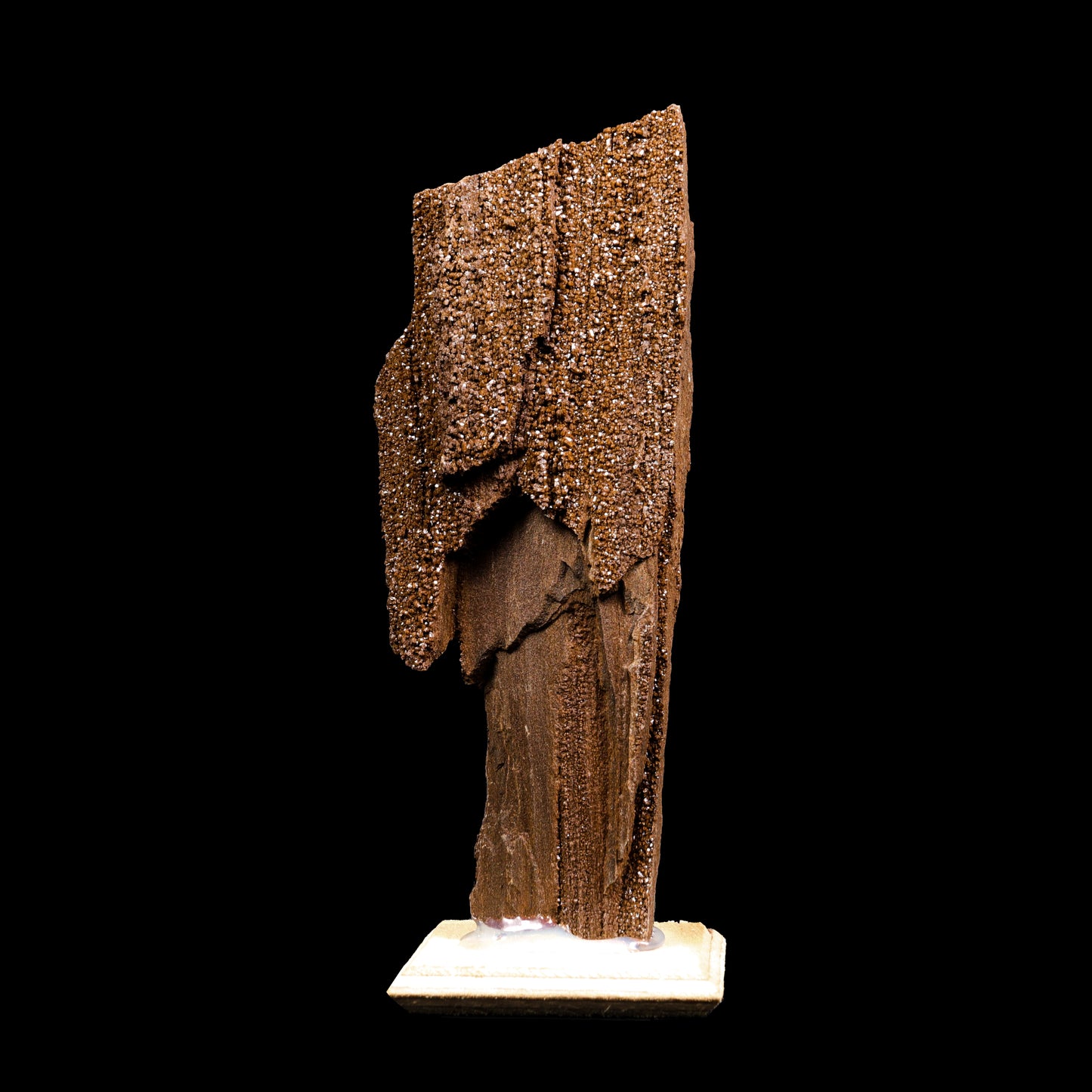 Rare Premineralised Petrified Wood Natural Mineral Specimen G #0292