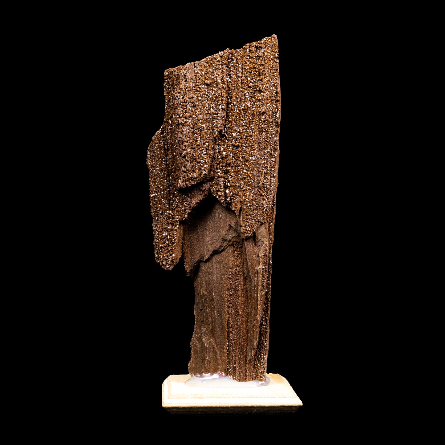 Rare Premineralised Petrified Wood Natural Mineral Specimen G #0292