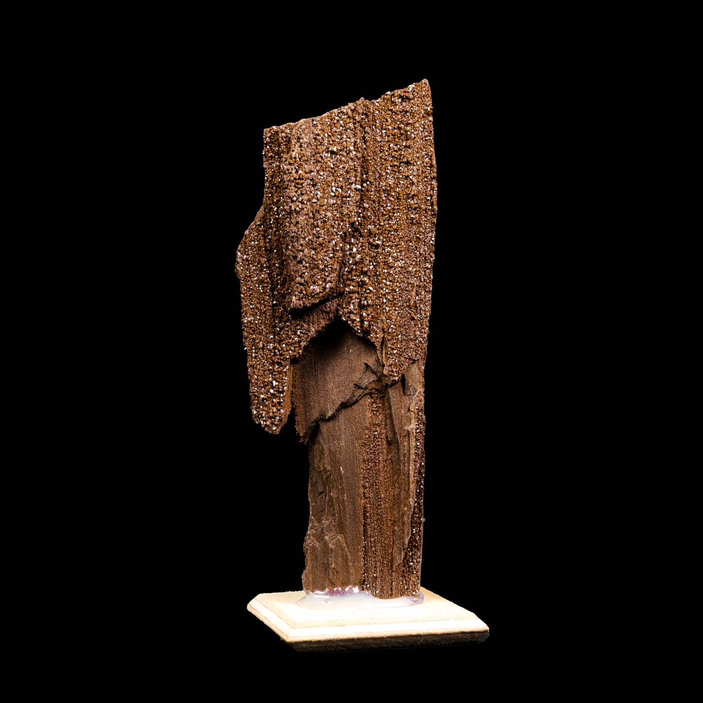 Rare Premineralised Petrified Wood Natural Mineral Specimen G #0292