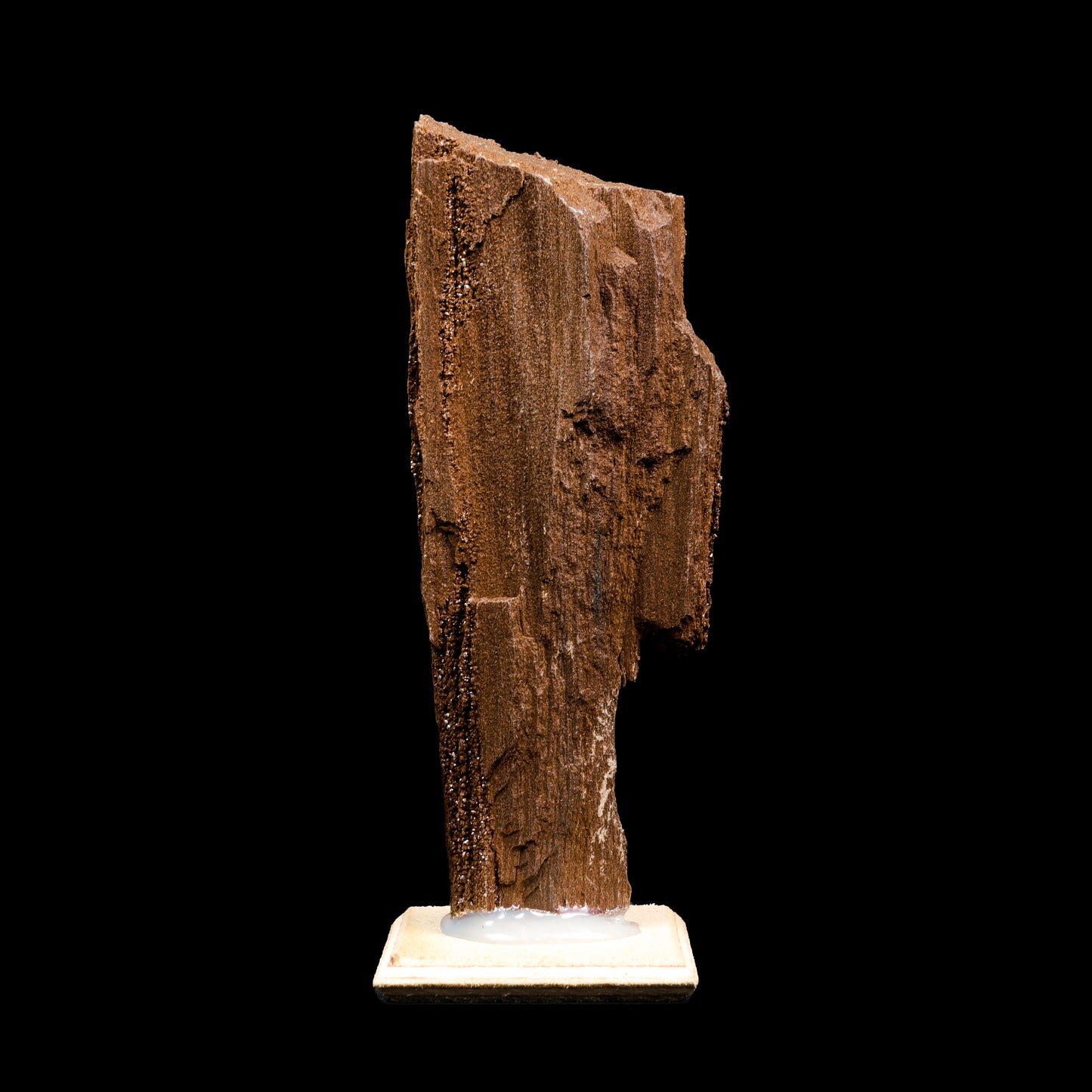 Rare Premineralised Petrified Wood Natural Mineral Specimen G #0292