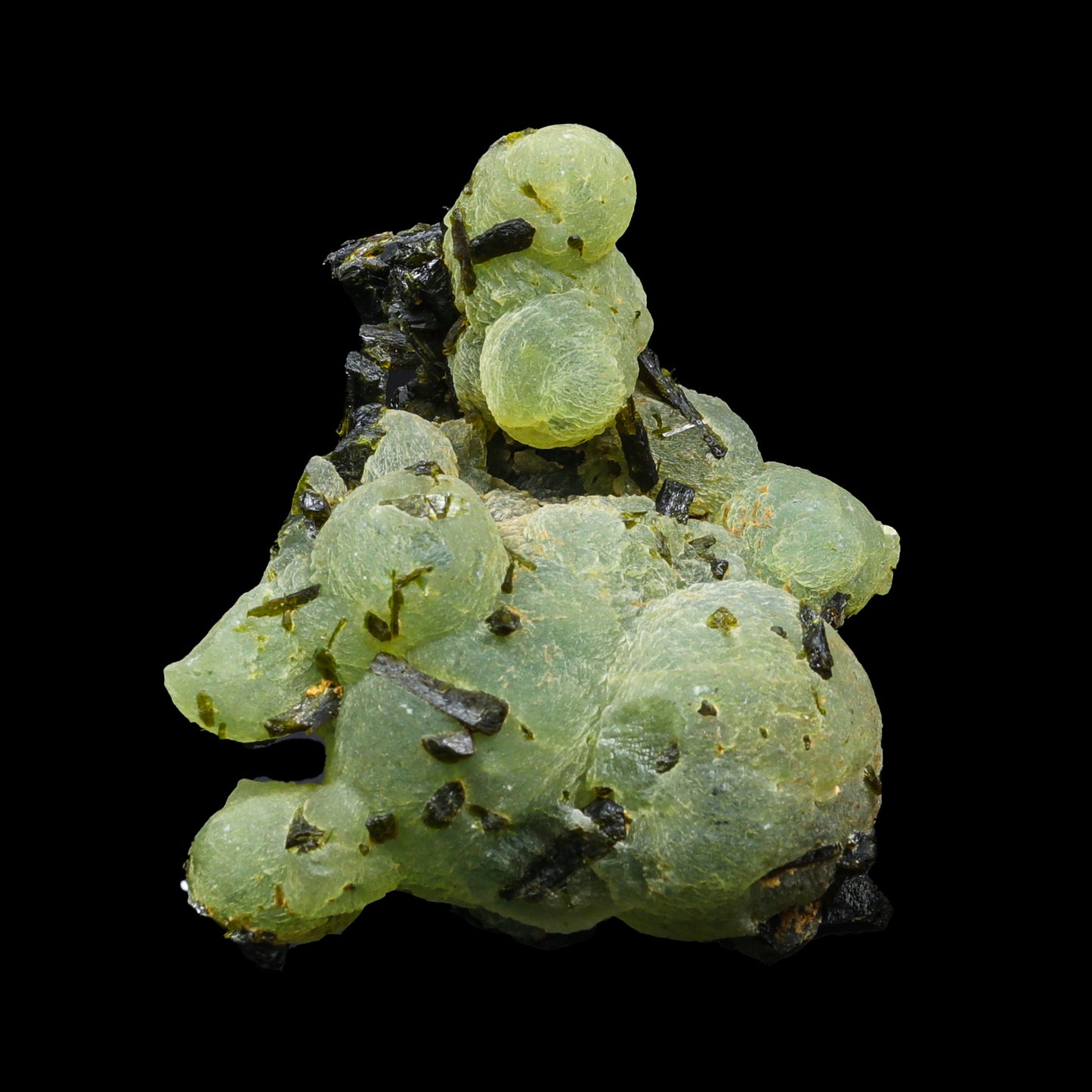 Botryoidal Prehnite with Epidote  Natural Specimen G #0296