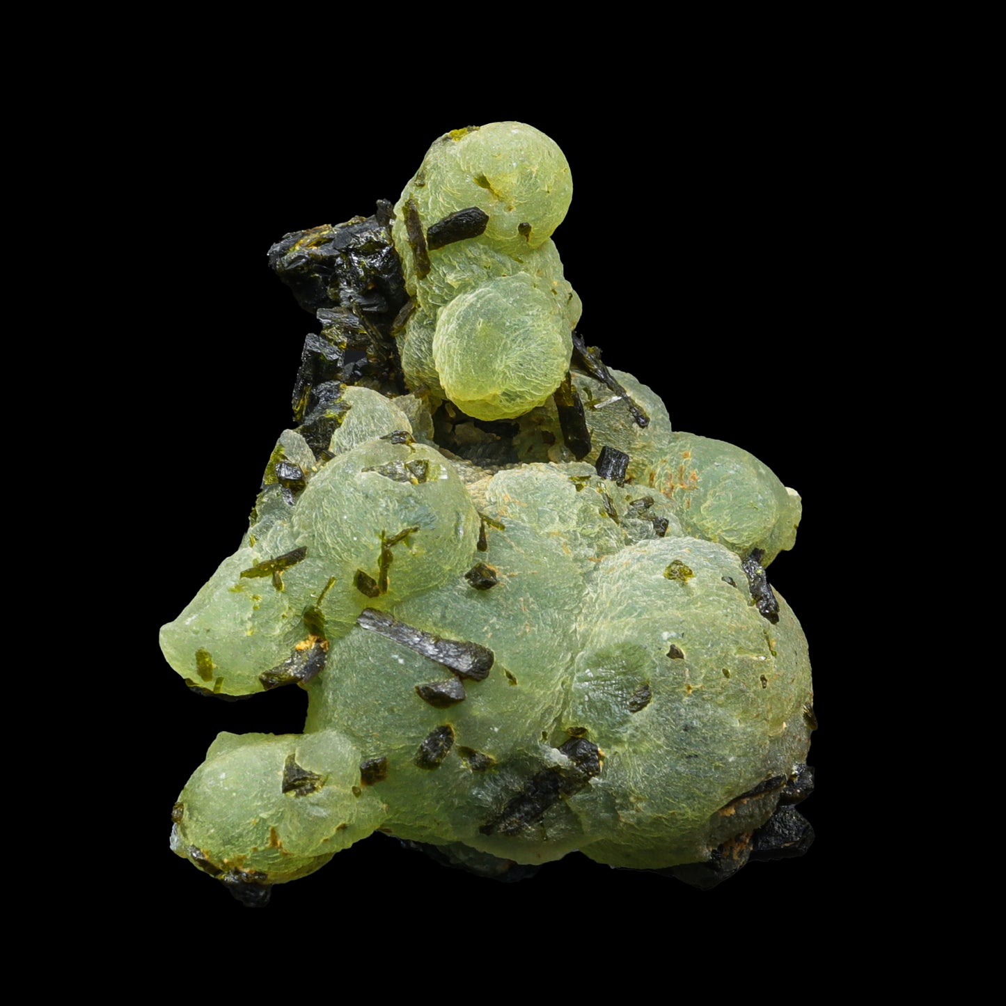 Botryoidal Prehnite with Epidote  Natural Specimen G #0296