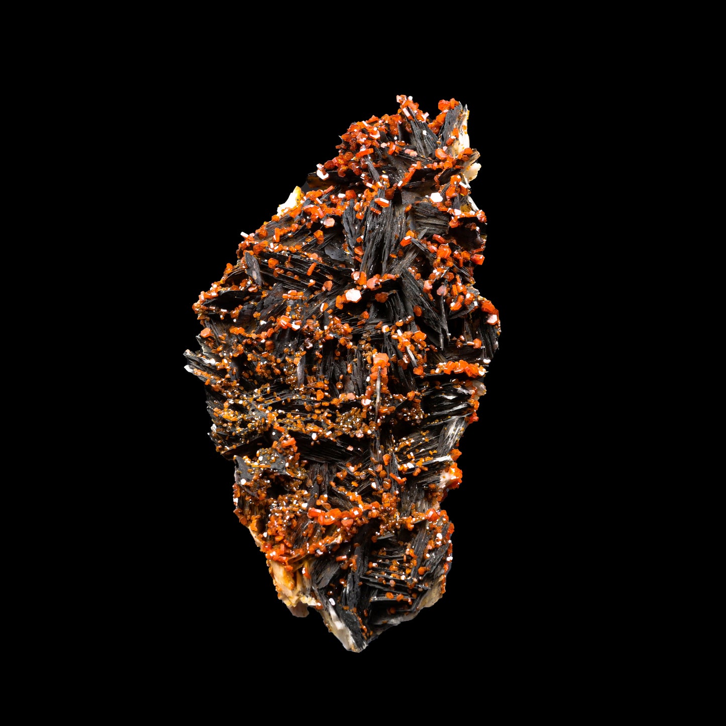 Vanadinite on Black Barite Natural Mineral Specimen G #0298