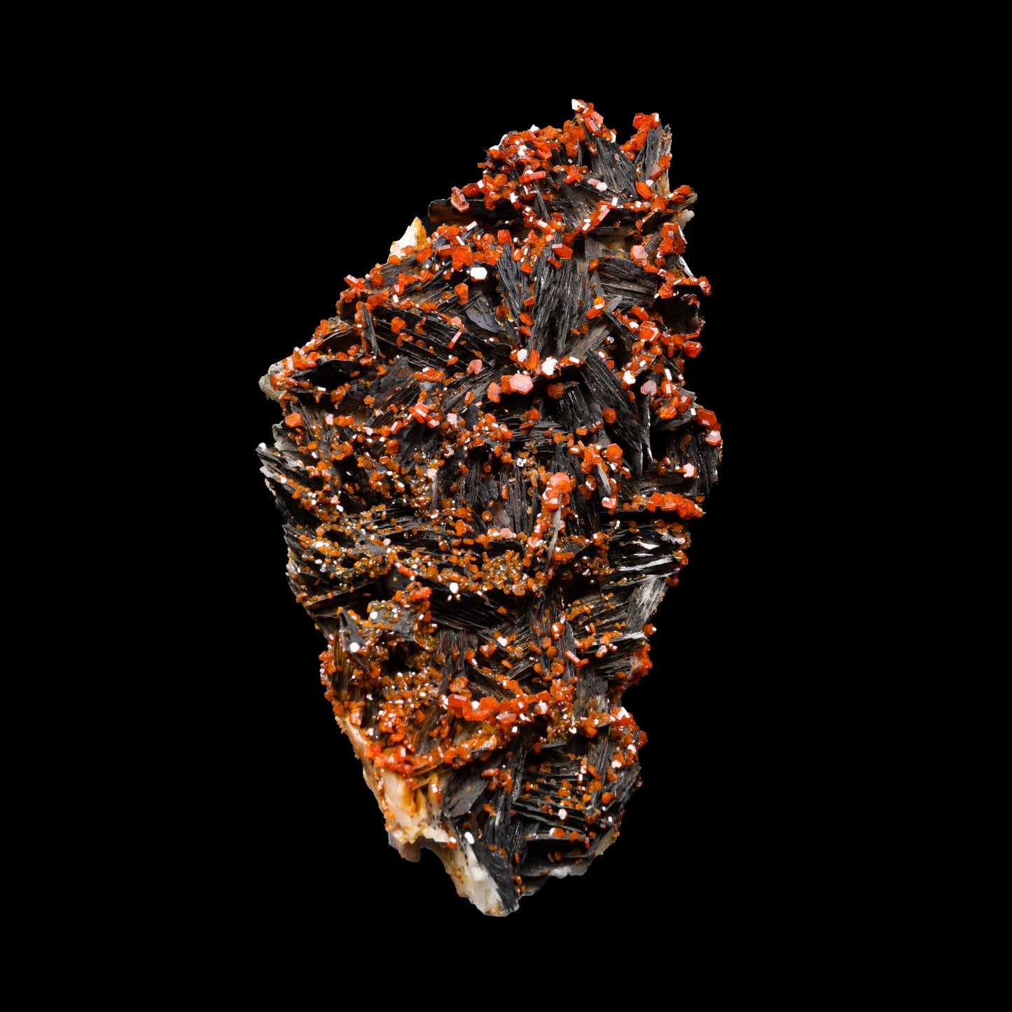 Vanadinite on Black Barite Natural Mineral Specimen G #0298