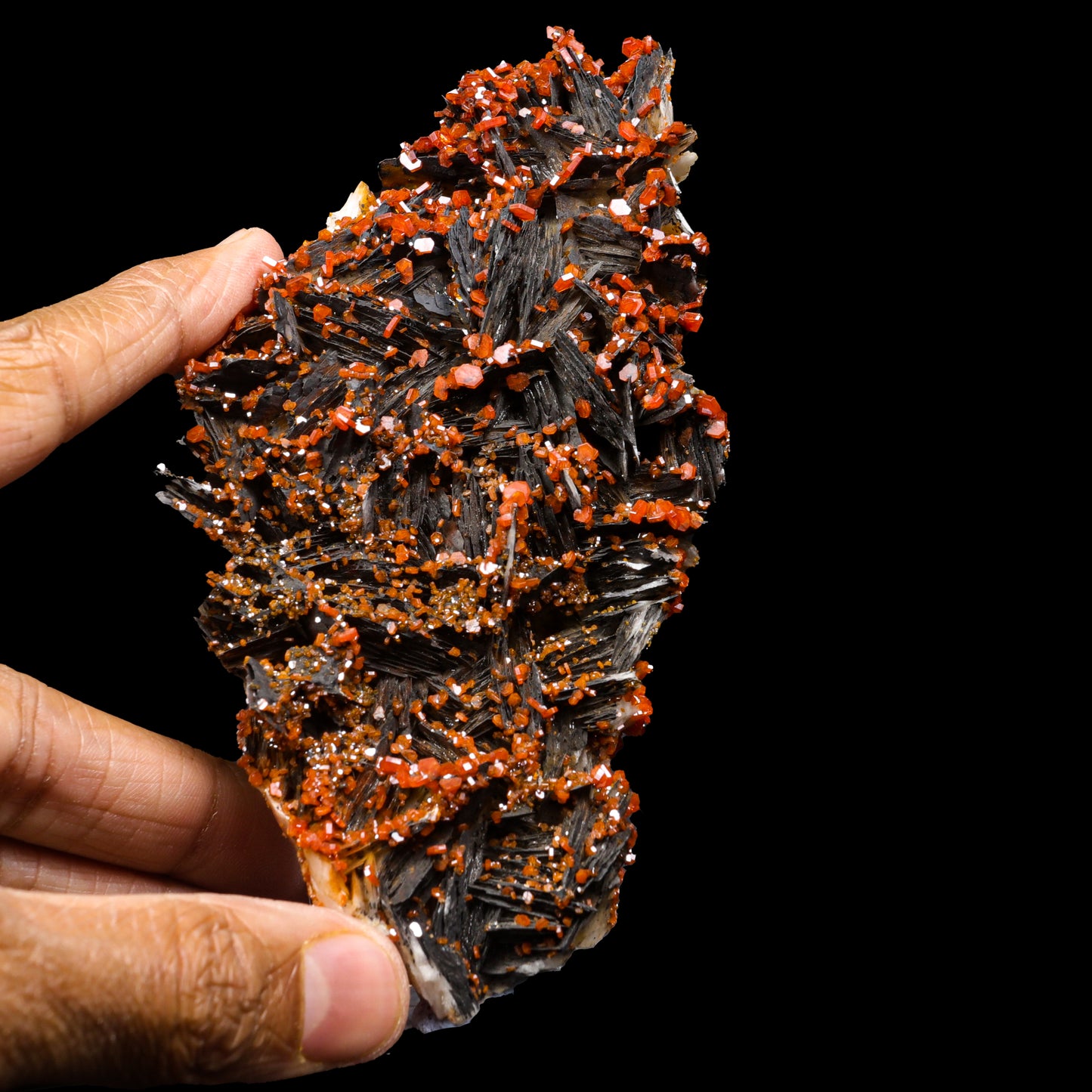 Vanadinite on Black Barite Natural Mineral Specimen G #0298