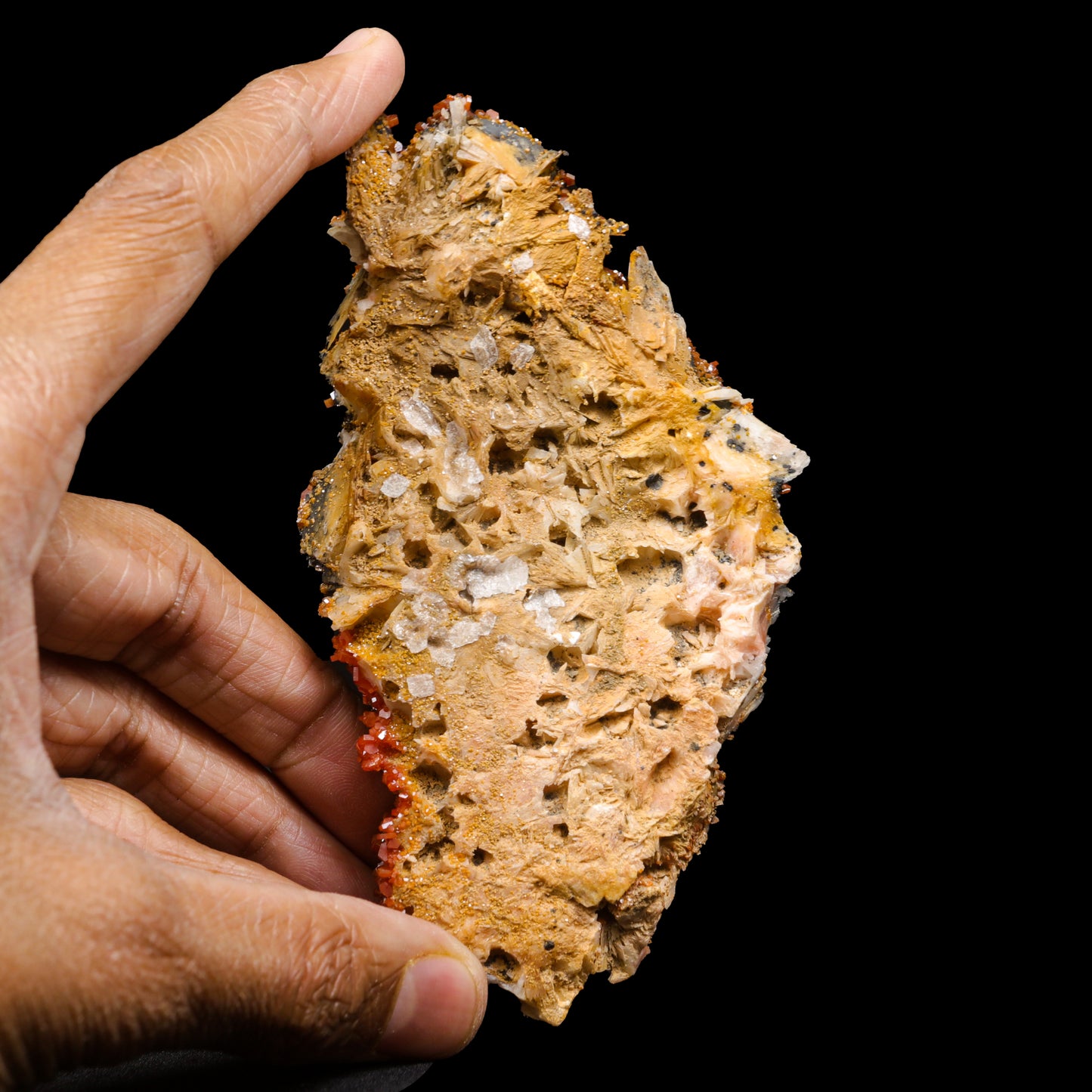 Vanadinite on Black Barite Natural Mineral Specimen G #0298
