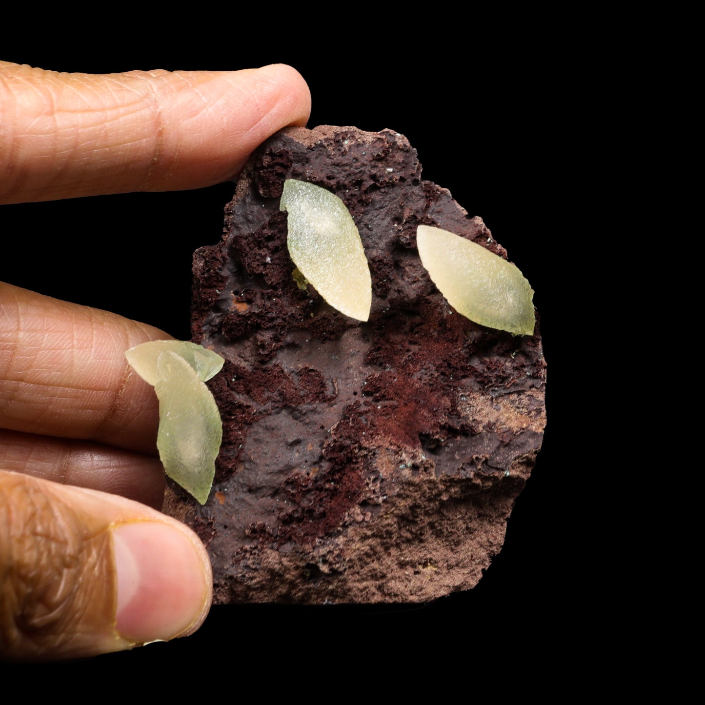 Dogtooth Calcite on Bassalt Natural Mineral Specimen G #0302
