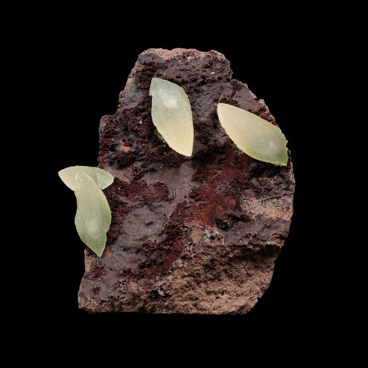 Dogtooth Calcite on Bassalt Natural Mineral Specimen G #0302