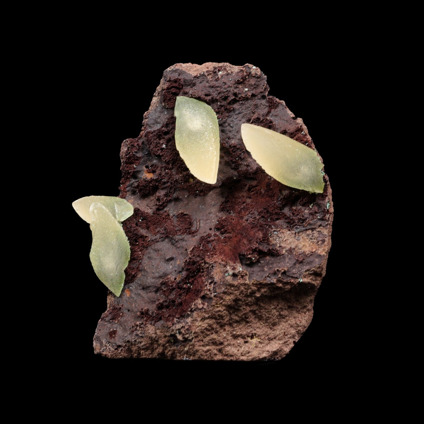 Dogtooth Calcite on Bassalt Natural Mineral Specimen G #0302