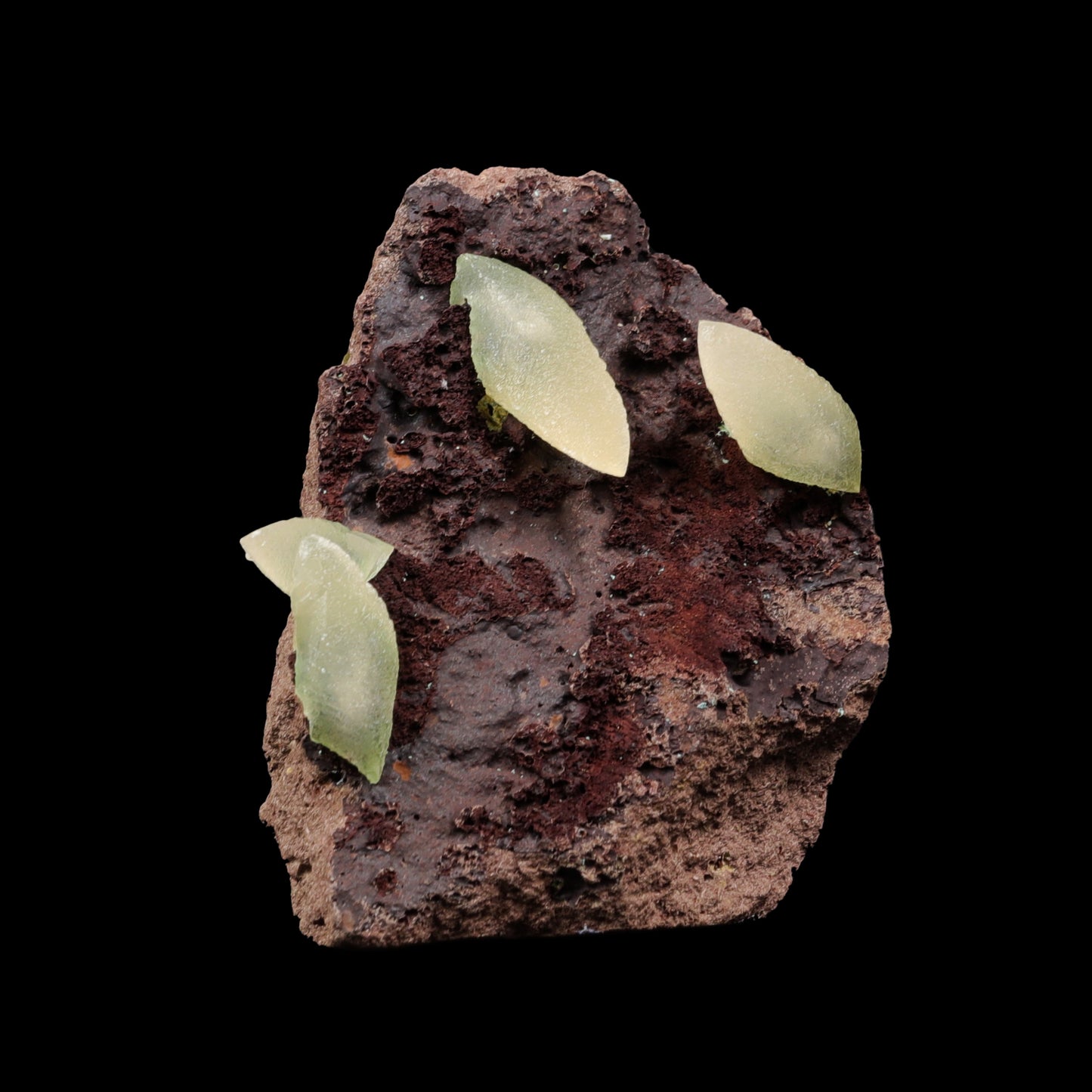 Dogtooth Calcite on Bassalt Natural Mineral Specimen G #0302