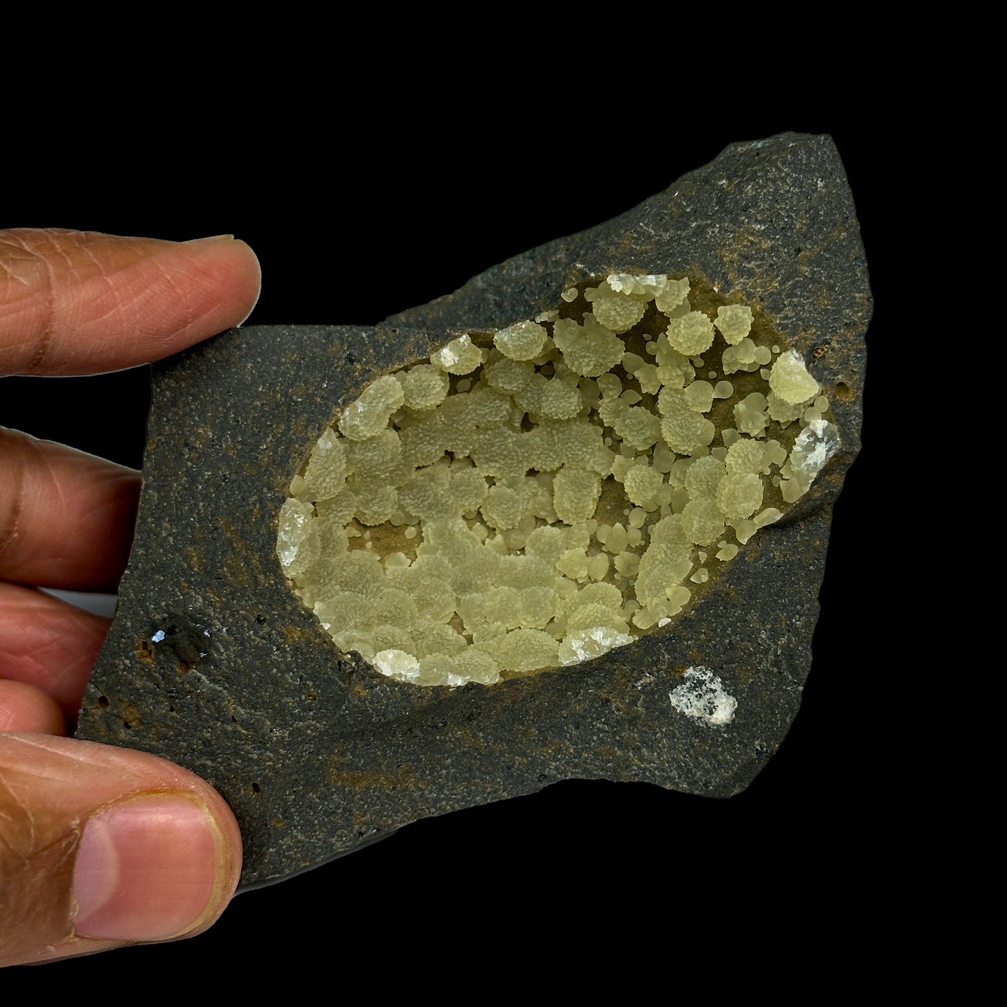 Rare Botryoidal Calcite Semigeode Natural Mineral Specimen from Campomorto Quarry , Italy #0331