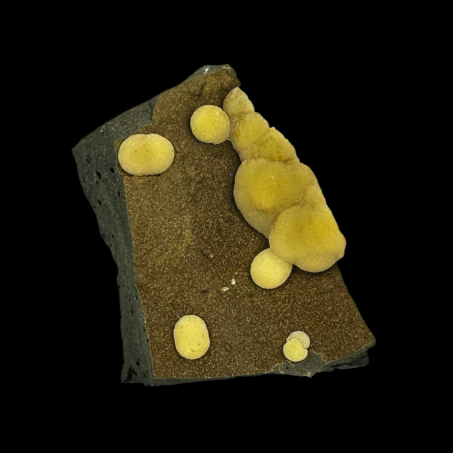 Rare Botryoidal Calcite Semigeode Natural Mineral Specimen from Campomorto Quarry , Italy #0338