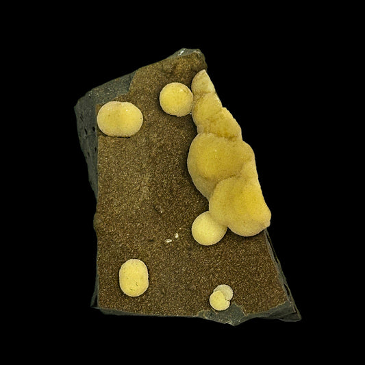 Rare Botryoidal Calcite Semigeode Natural Mineral Specimen from Campomorto Quarry , Italy #0338