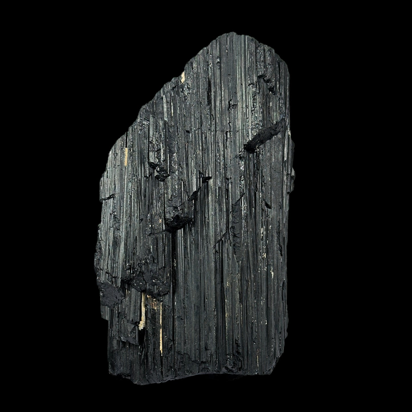 Black Tourmaline Natural Mineral Specimen G #0351