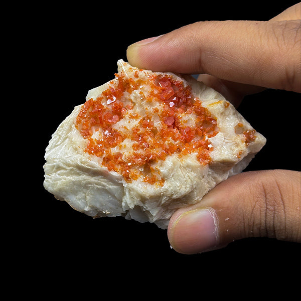 Red Vanadinite On Barite dual side Natural Mineral Specimen. G #0360