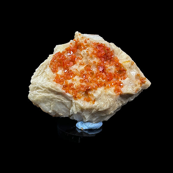 Red Vanadinite On Barite dual side Natural Mineral Specimen. G #0360