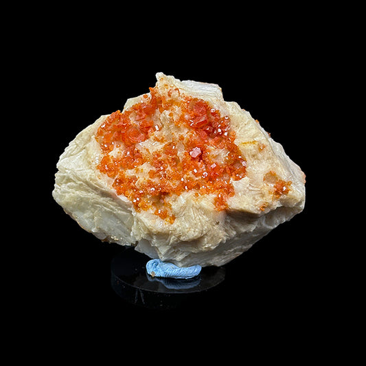 Red Vanadinite On Barite dual side Natural Mineral Specimen. G #0360