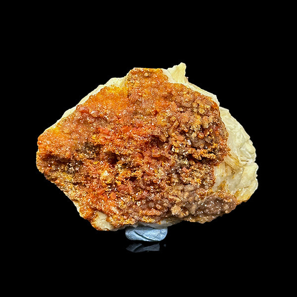 Red Vanadinite On Barite dual side Natural Mineral Specimen. G #0360