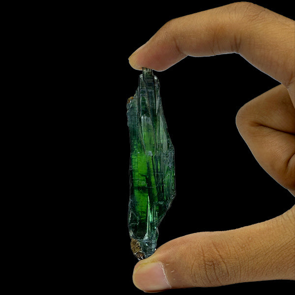 Vivinite Natural Mineral Specimen. G #0366