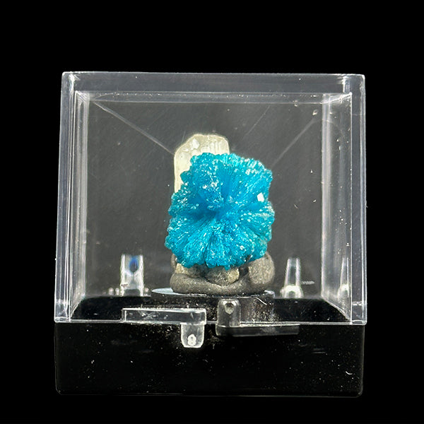 Cavansite with Stilbite Natural Mineral Specimen. G #0406