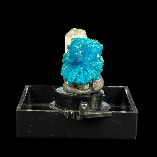 Cavansite with Stilbite Natural Mineral Specimen. G #0406